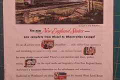 PXL_20240728_025355796