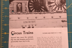 Circus Train