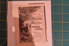 PXL_20240728_030054788