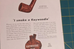 PXL_20240728_033024011