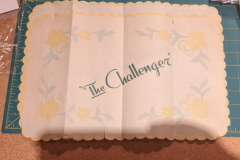 PXL_20240728_033208471